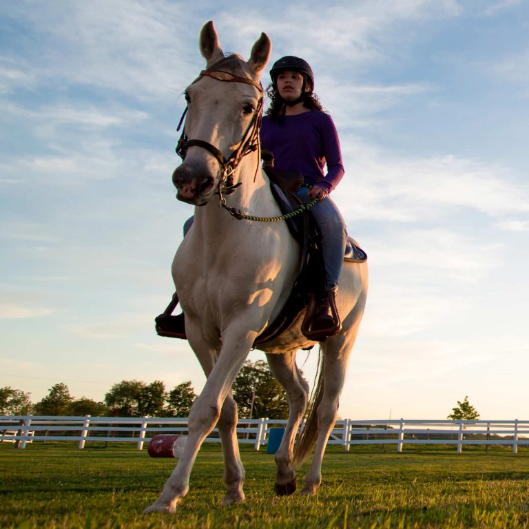 The Magical Meadows Therapeutic Horseback Riding for Children and Adults